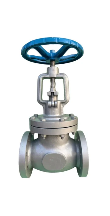 Globe Valves